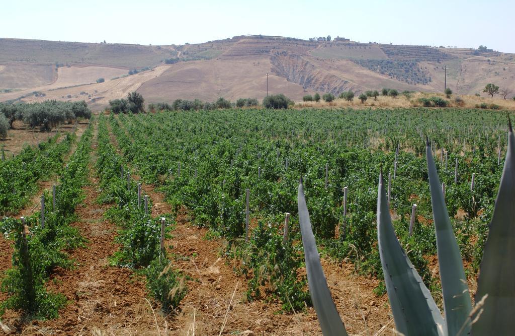 Antica Tenuta Del Nanfro Villa Caltagirone Buitenkant foto